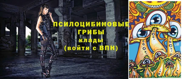 дмт Верхний Тагил