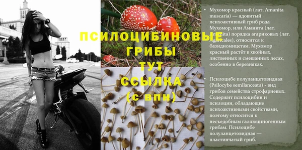 прущая мука Бронницы