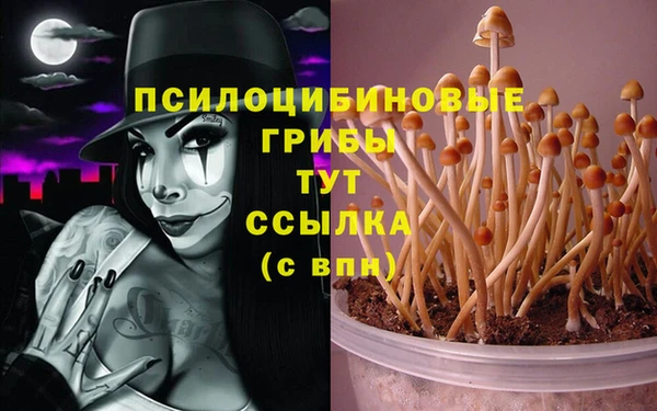прущая мука Бронницы