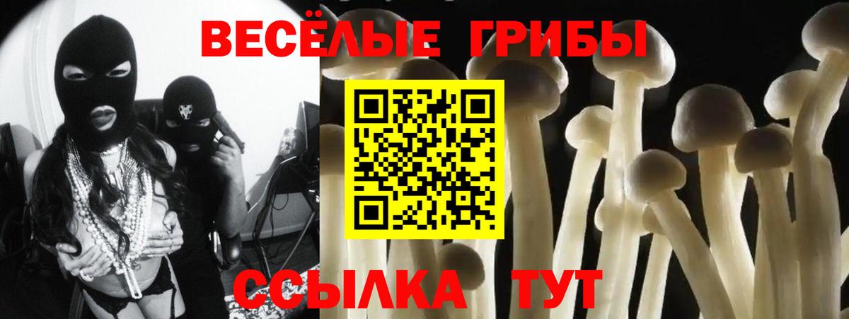 Выкса  Галлюциногенные грибы прущие грибы  Вход с VPN 